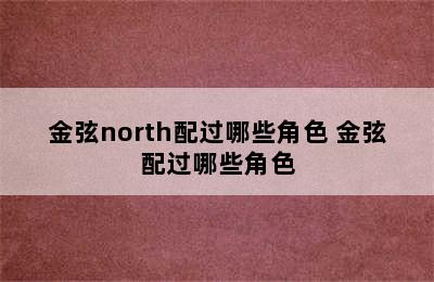 金弦north配过哪些角色 金弦配过哪些角色